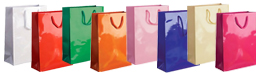 Medium Gloss Rope Handle Paper Bags-25x34x10cm